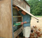 Lee House Farm