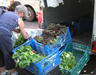 Veg on sale at Twickenham Farmers' Market 16/07/2005