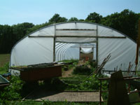 Our Polytunnel